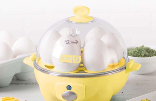 Dash Egg Cooker Manual and Instructions: How to Use It!
